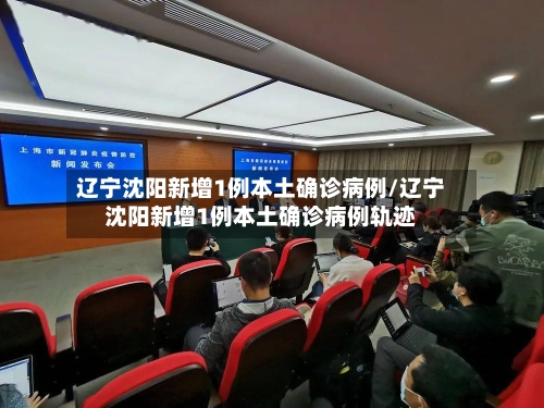 辽宁沈阳新增1例本土确诊病例/辽宁沈阳新增1例本土确诊病例轨迹-第2张图片