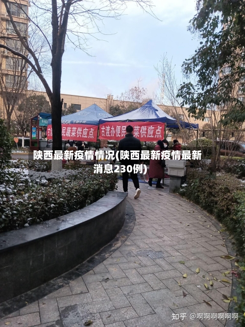 陕西最新疫情情况(陕西最新疫情最新消息230例)