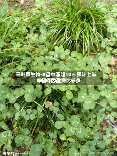 三叶草生物-B盘中涨超10% 预计上半年扭亏为盈赚比较多12.04亿元