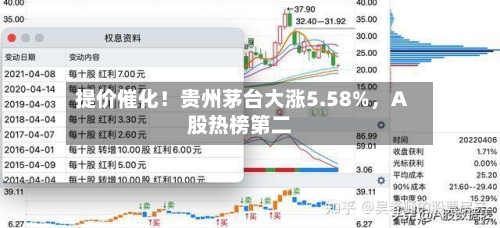 提价催化！贵州茅台大涨5.58%，A股热榜第二