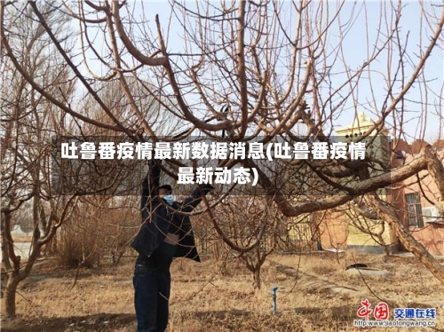 吐鲁番疫情最新数据消息(吐鲁番疫情最新动态)