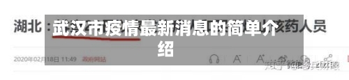 武汉市疫情最新消息的简单介绍