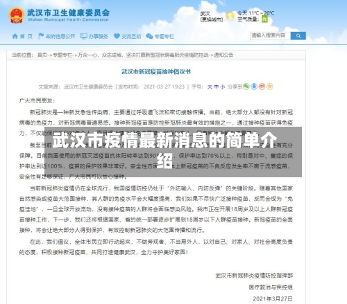 武汉市疫情最新消息的简单介绍-第3张图片