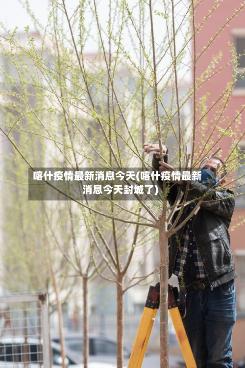 喀什疫情最新消息今天(喀什疫情最新消息今天封城了)-第2张图片