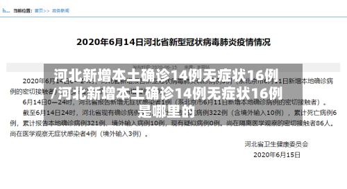 河北新增本土确诊14例无症状16例/河北新增本土确诊14例无症状16例是哪里的-第3张图片