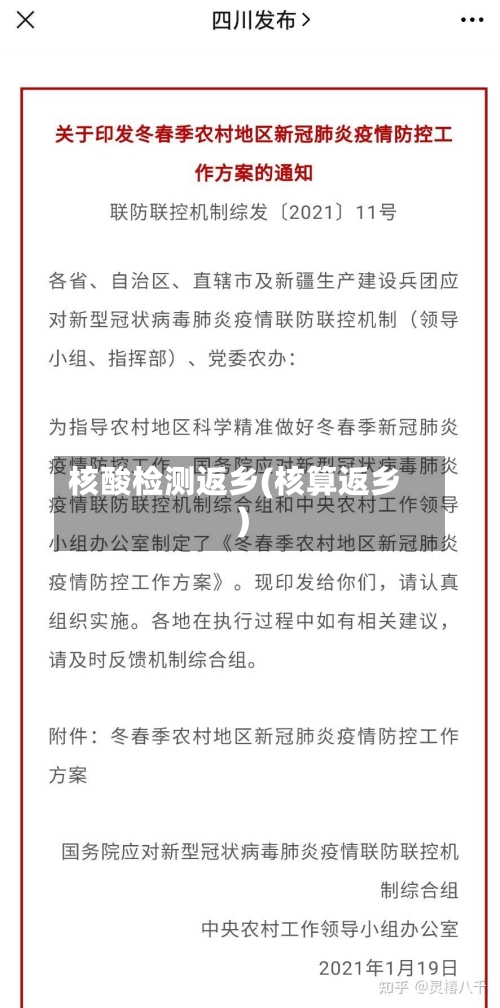 核酸检测返乡(核算返乡)