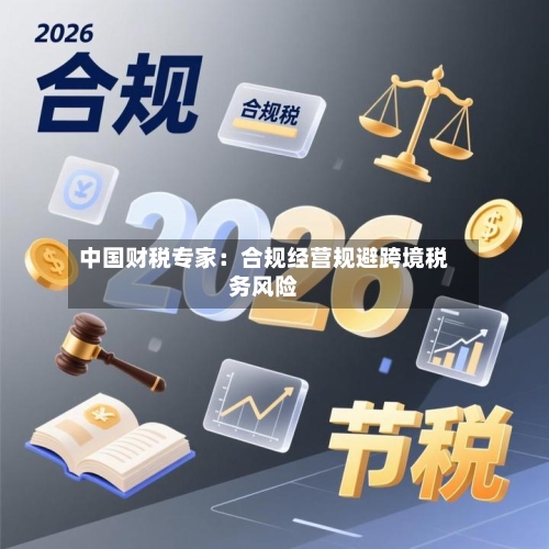 中国财税专家:合规经营规避跨境税务风险-第2张图片