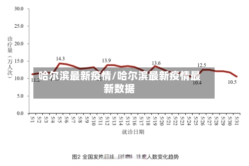 哈尔滨最新疫情/哈尔滨最新疫情最新数据-第2张图片