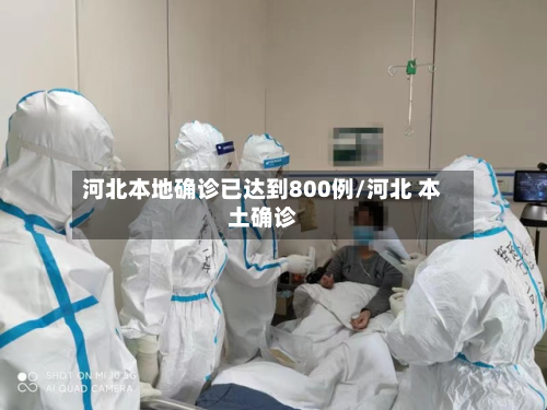 河北本地确诊已达到800例/河北 本土确诊