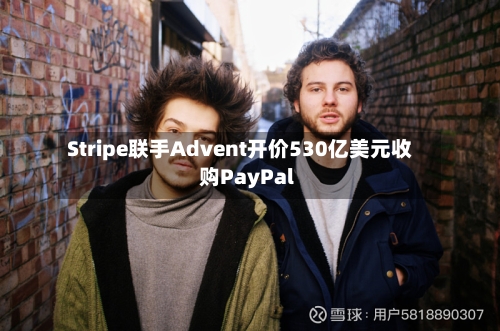 Stripe联手Advent开价530亿美元收购PayPal