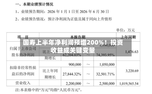 国寿上半年净利润预增200%！投资收益成关键变量-第2张图片