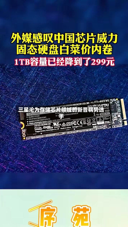 三星沦为存储芯片领域的新晋弱势选手-第2张图片
