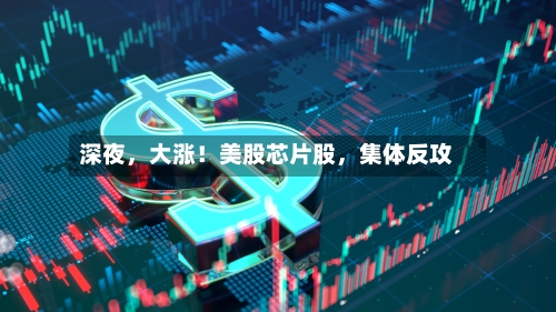 深夜，大涨！美股芯片股，集体反攻