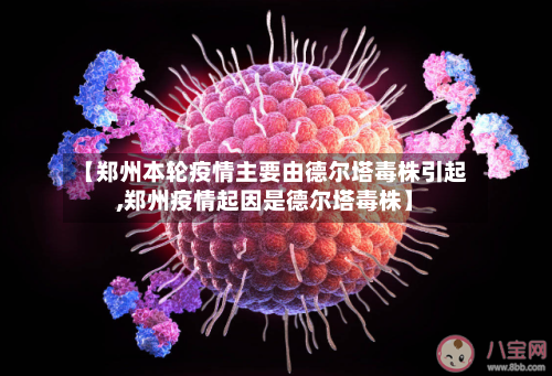 【郑州本轮疫情主要由德尔塔毒株引起,郑州疫情起因是德尔塔毒株】-第3张图片