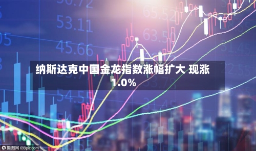 纳斯达克中国金龙指数涨幅扩大 现涨1.0%