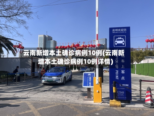 云南新增本土确诊病例10例(云南新增本土确诊病例10例详情)