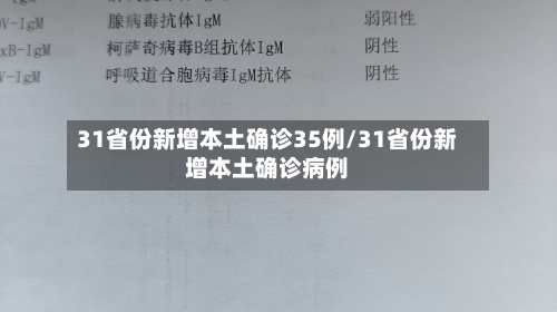 31省份新增本土确诊35例/31省份新增本土确诊病例-第2张图片