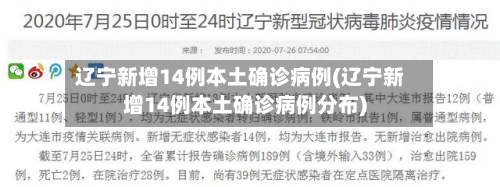辽宁新增14例本土确诊病例(辽宁新增14例本土确诊病例分布)