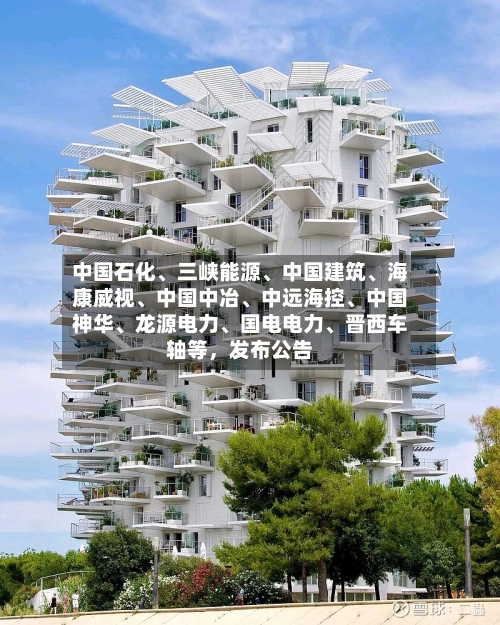 中国石化、三峡能源	、中国建筑、海康威视、中国中冶、中远海控	、中国神华、龙源电力、国电电力	、晋西车轴等	，发布公告-第2张图片