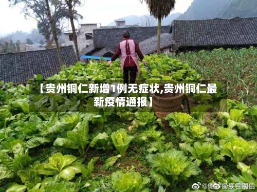 【贵州铜仁新增1例无症状,贵州铜仁最新疫情通报】