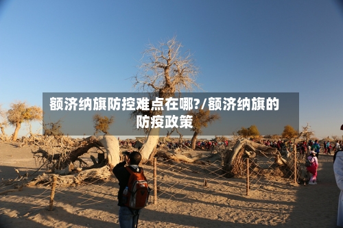 额济纳旗防控难点在哪?/额济纳旗的防疫政策