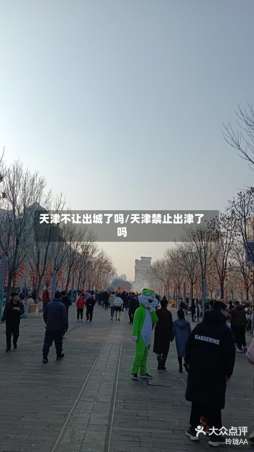 天津不让出城了吗/天津禁止出津了吗