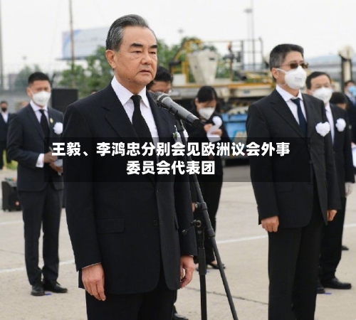 王毅、李鸿忠分别会见欧洲议会外事委员会代表团