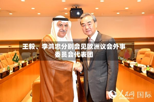 王毅	、李鸿忠分别会见欧洲议会外事委员会代表团-第2张图片