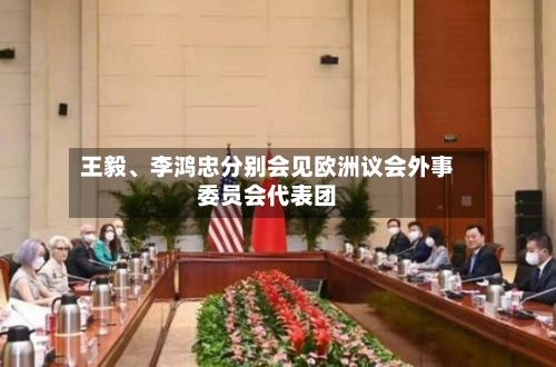 王毅、李鸿忠分别会见欧洲议会外事委员会代表团-第3张图片