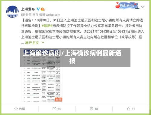 上海确诊病例/上海确诊病例最新通报-第2张图片