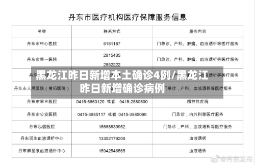 黑龙江昨日新增本土确诊4例/黑龙江昨日新增确诊病例-第3张图片
