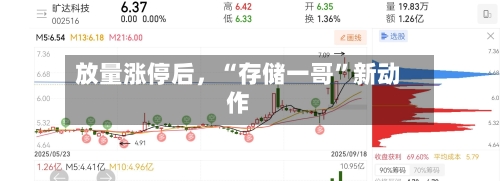 放量涨停后，“存储一哥”新动作