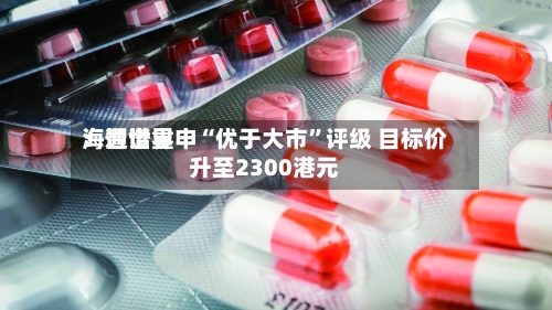 海通世界：智谱重申“优于大市”评级 目标价升至2300港元-第3张图片