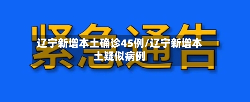 辽宁新增本土确诊45例/辽宁新增本土疑似病例-第2张图片