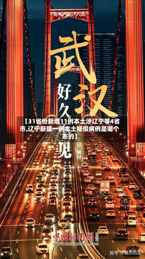 【31省份新增11例本土涉辽宁等4省市,辽宁新增一例本土疑似病例是哪个市的】-第2张图片