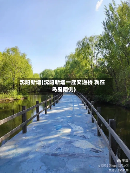 沈阳新增(沈阳新增一座交通桥 就在鸟岛南侧)