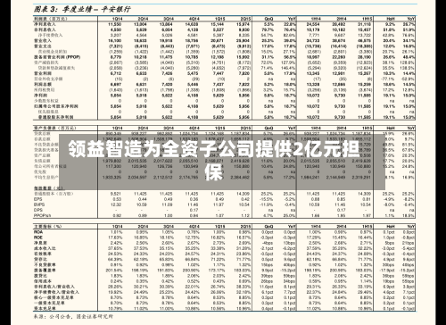 领益智造为全资子公司提供2亿元担保-第3张图片