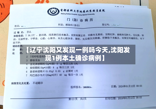 【辽宁沈阳又发现一例吗今天,沈阳发现1例本土确诊病例】-第2张图片