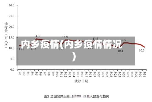 内乡疫情(内乡疫情情况)