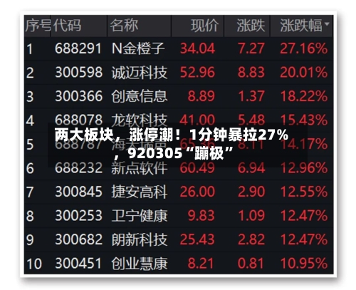 两大板块，涨停潮！1分钟暴拉27%，920305“蹦极”