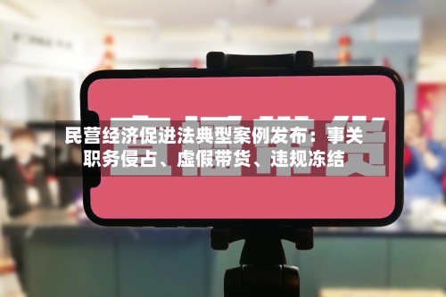 民营经济促进法典型案例发布：事关职务侵占、虚假带货	、违规冻结-第2张图片