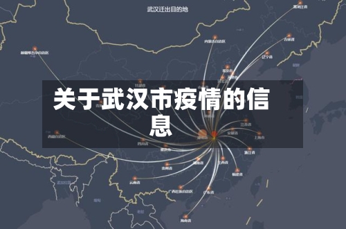 关于武汉市疫情的信息-第2张图片