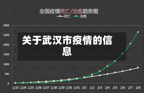 关于武汉市疫情的信息