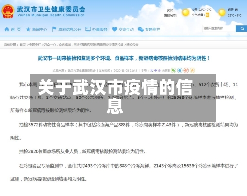 关于武汉市疫情的信息-第3张图片