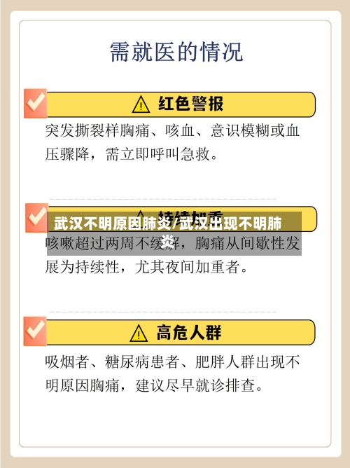 武汉不明原因肺炎/武汉出现不明肺炎-第2张图片