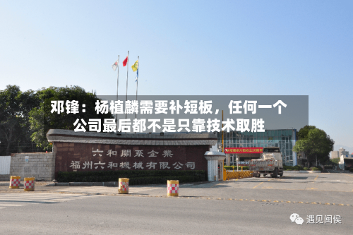 邓锋：杨植麟需要补短板，任何一个公司最后都不是只靠技术取胜