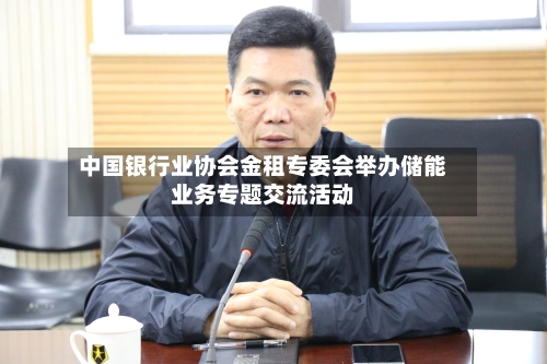 中国银行业协会金租专委会举办储能业务专题交流活动-第2张图片