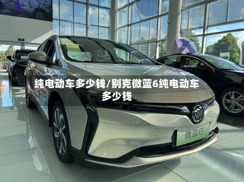纯电动车多少钱/别克微蓝6纯电动车多少钱-第2张图片
