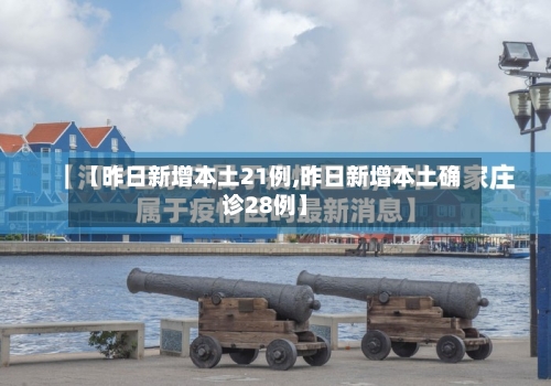 【昨日新增本土21例,昨日新增本土确诊28例】