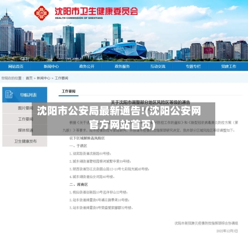 沈阳市公安局最新通告!(沈阳公安网官方网站首页)-第3张图片